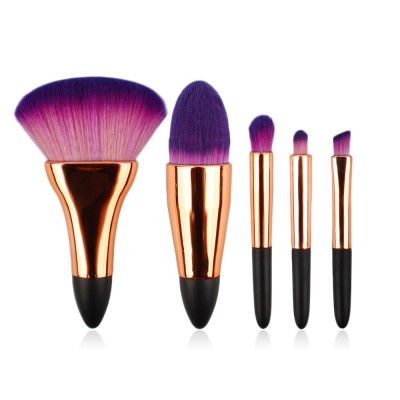 5 Piece Professional Mini Makeup Brush Kit with Golden Handle